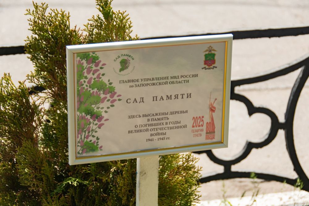 ������ ��������: � ���������� ������ ����� "��� ������" � ��������� ������-������������