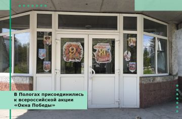 В Пологах присоединились к всероссийской акции «Окна Победы»