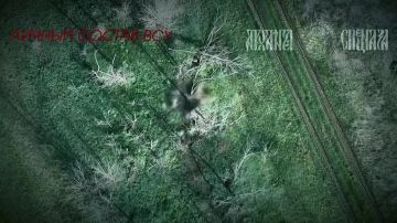 Давненько шатуны не бегали по посадкам