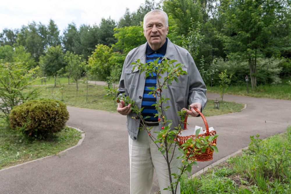 ������ ������������. �� �������� � ������ ��������