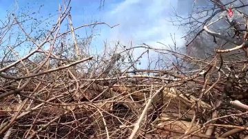 Минобороны России: Расчёт гаубицы «Мста-Б» группировки войск «Восток» уничтожил пункт временной дислокации ВСУ на Запорожском направлении