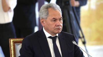 Шойгу: России и странам глобального Юга и Востока нужно выработать общие механизмы безопасности