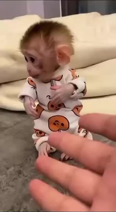 ������ ��������� ����, ������!
