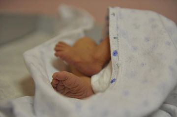В Запорожской области за сутки родились трое детей