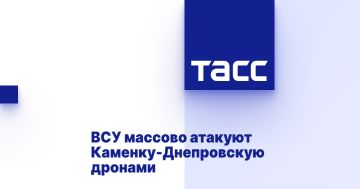 ВСУ массово атакуют Каменку-Днепровскую дронами