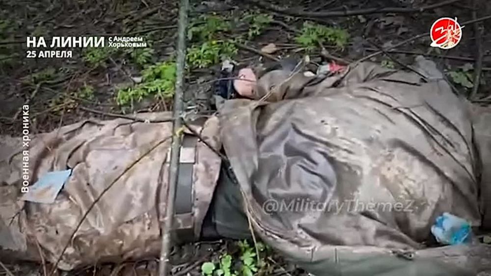 ��������� ���������� �� ������ ������ � ������� ��������� � ��������� ��� ����� | 25 ������