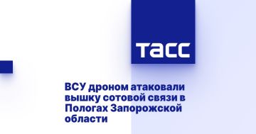 ВСУ дроном атаковали вышку сотовой связи в Пологах Запорожской области
