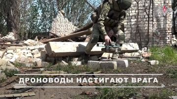Минобороны России: Операторы FPV-дронов группировки войск «Днепр» ведут непрерывное наблюдение за позициями ВСУ, выявляя и уничтожая живую силу противника, укрытую в блиндажах и окопах