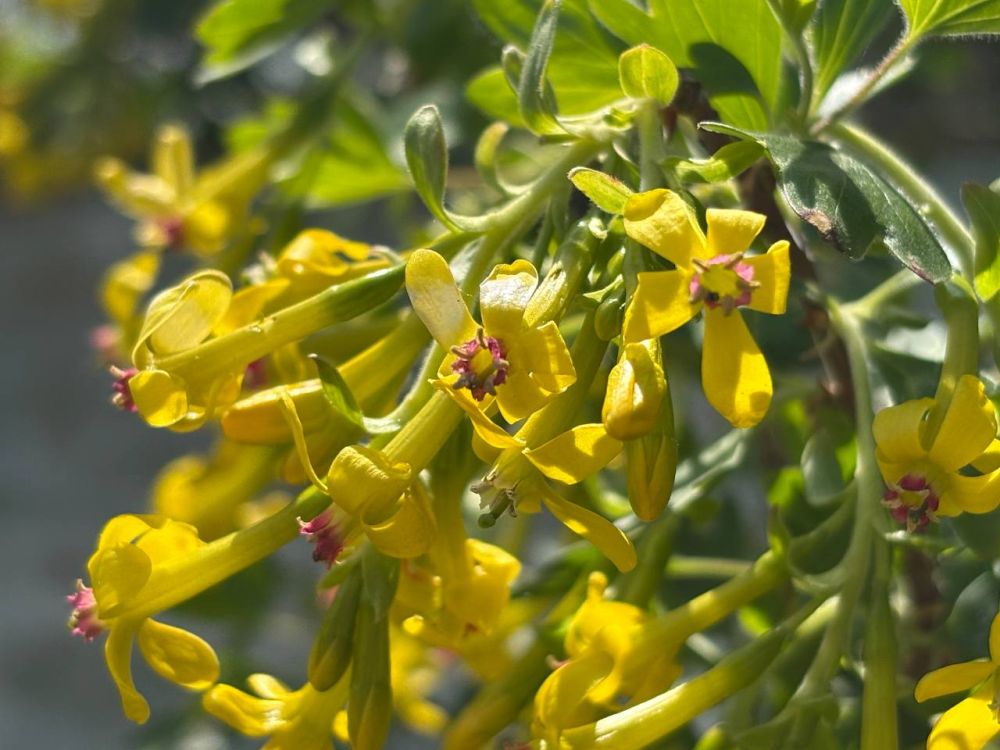 ������ ����. �������������� �� "�������������� �����"