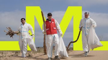 Добровольцы в Анапе присоединились ко Всероссийской неделе субботников «Мы за чистоту»