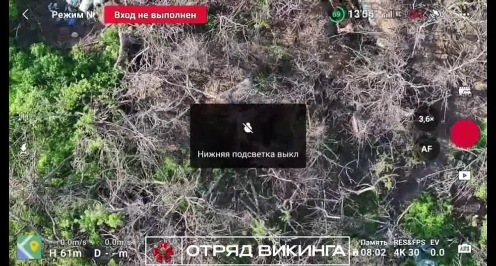 ����� ���� �������� � ����