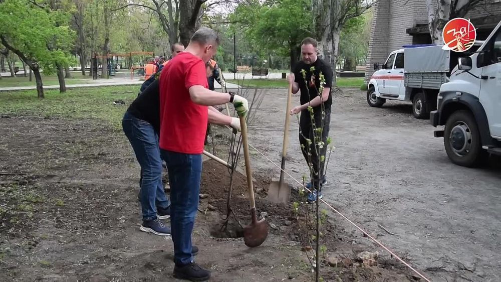 � ������� �������� ���� ������ � 80-����� ������