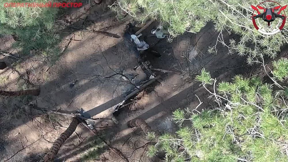 ������ ���� ������� ���� � �������������� ������� ��������� ��������� ������� �������� �.�. ���������