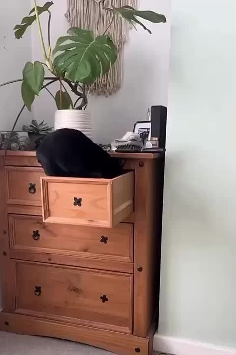 ����� � ��� ����� �� �������� � �����������?