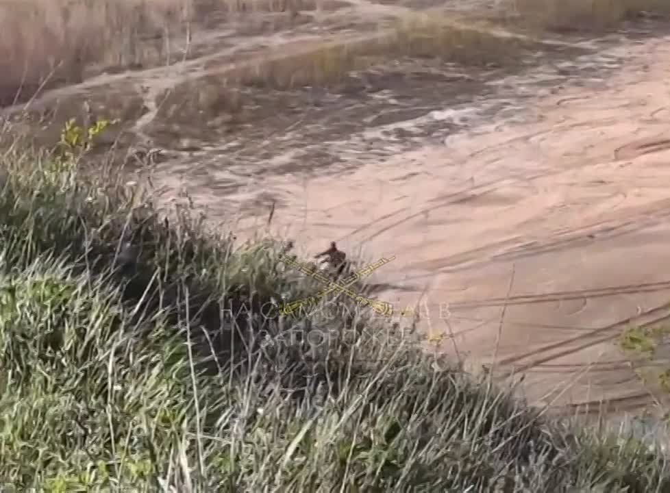 ��������� �������� �� ��������� ��� ������ �� ������������