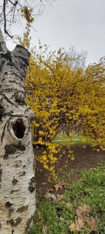 Доброго утра! Пусть вместе с ним придёт и вдохновение, пусть раннее солнце подарит хорошее настроение и уверенность в том, что всё будет чудесно