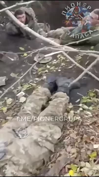 ������� �� 80 ������� ��� � ���������� ������ ������� ������� �������