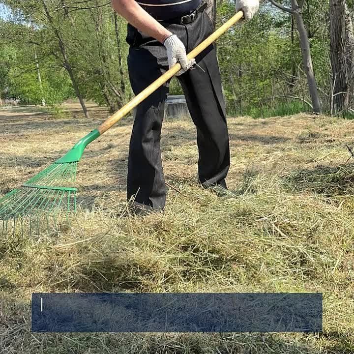 � ������ ������ ���������� ������ ������������� �����