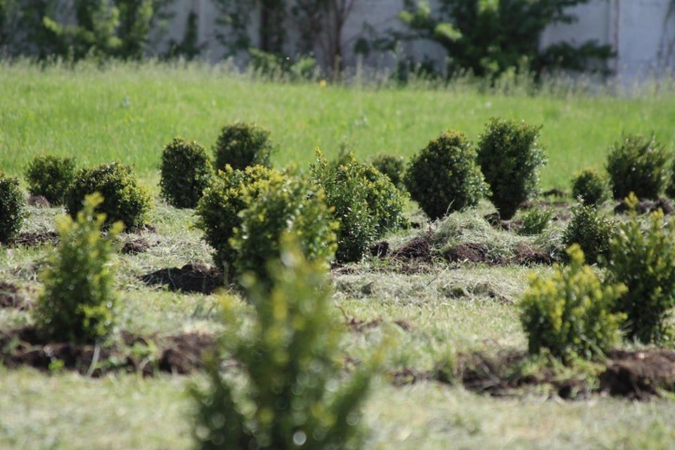 � ������������ ������ �������� ������� �� ��� ������