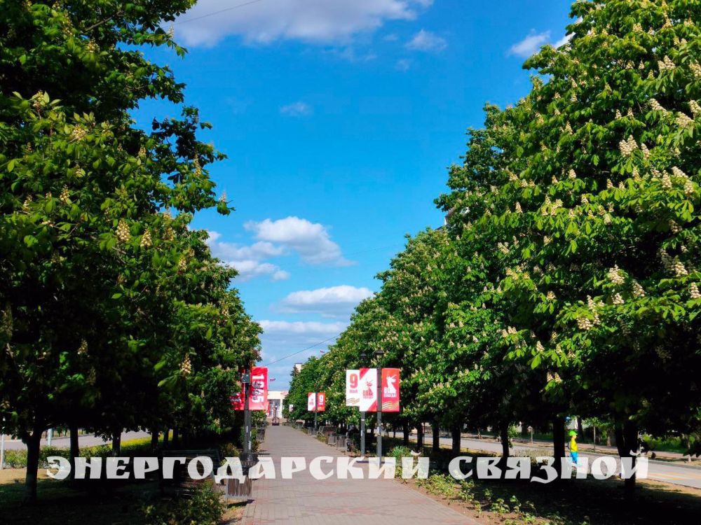 28 ������ �������� ����������� ���� ���������� ������ ������ ����������� ������, ���������� ������������� ������������� ����������� ������������� � 2020 ����