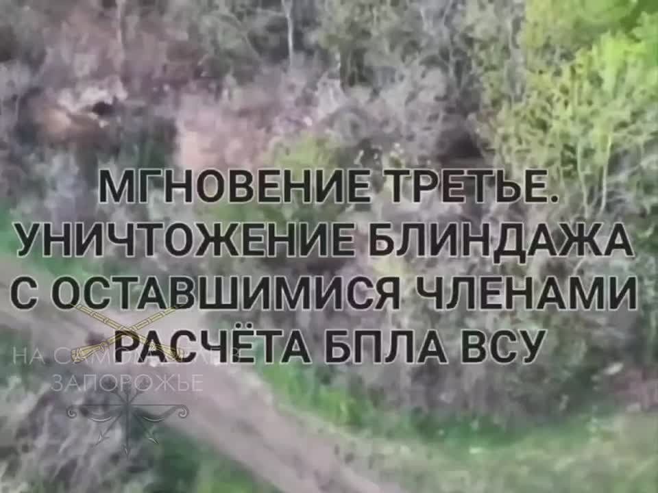 Ореховское направление Запорожского фронта