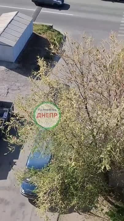 ����� ��������� ����������� � ���������������