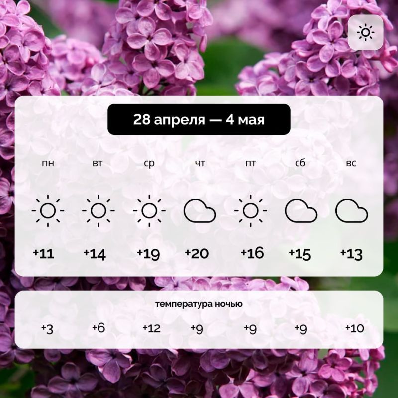 ������ � ����������� ������� �� 28 ������ � 4 ���