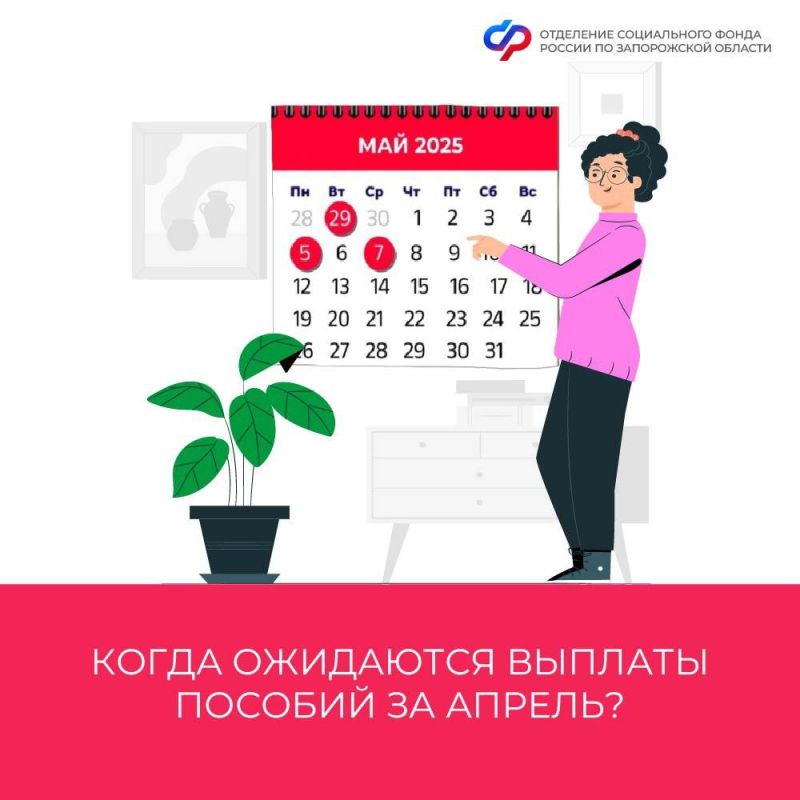 ����� ����� ��������� ������� �� ������ 2025 ����