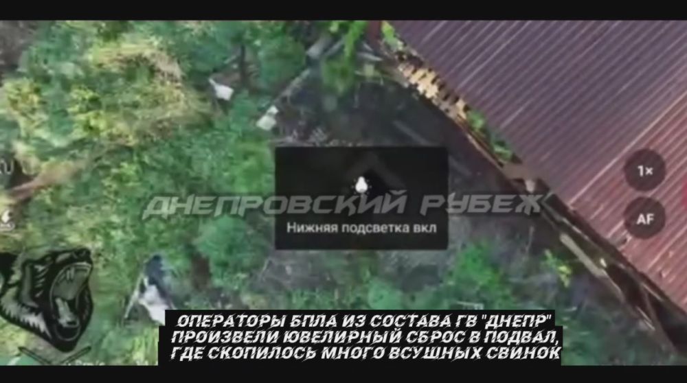 от Енота Херсона за прошедшие сутки