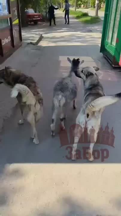 ���� �� ������ ��������� ����� ������� ���� �����