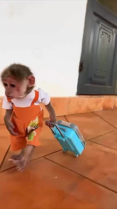 ������������ �� ������ � ��������� �������!