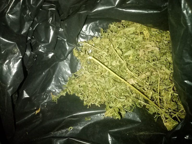 Сотрудники правоохранительных органов Запорожской области изъяли наркотики