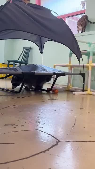 ������ ����, ������! �������� ��� ��� � ��������� ����������!