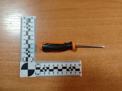 В Васильевке завершено расследование уголовного дела о покушении на убийство женщины