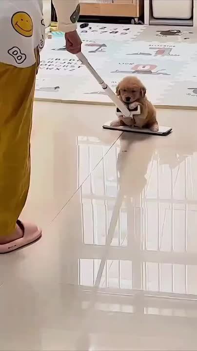 ����������� ��� ������ ���� ����� �������� ������������ �����!