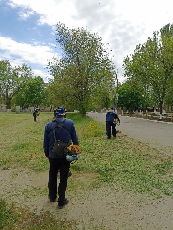 ЛДПР в действии: Пологовские активисты навели порядок с душой!