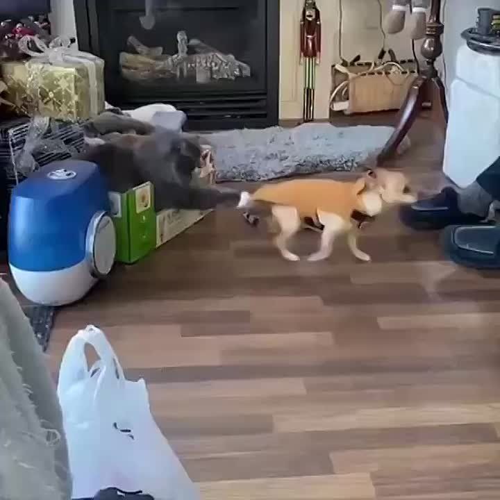 ��������� ���� �������� � ���� �� �����