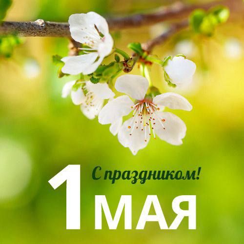 ����: ������� ������, ��������� �������!