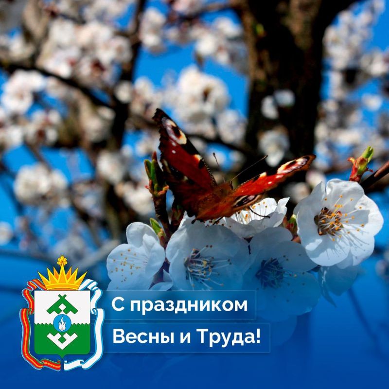 Ирина Гехт: Дорогие жители Ненецкого автономного округа!