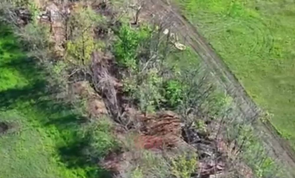 WarGonzo:  .         ,       ,      