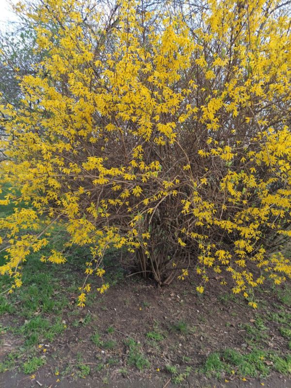 Спешим пожелать доброго утра! Пусть день будет наполнен только яркими событиями и принесет спокойствие и гармонию