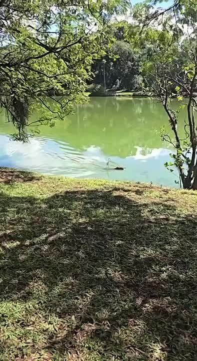��������� � ��������� (��)������� ����!