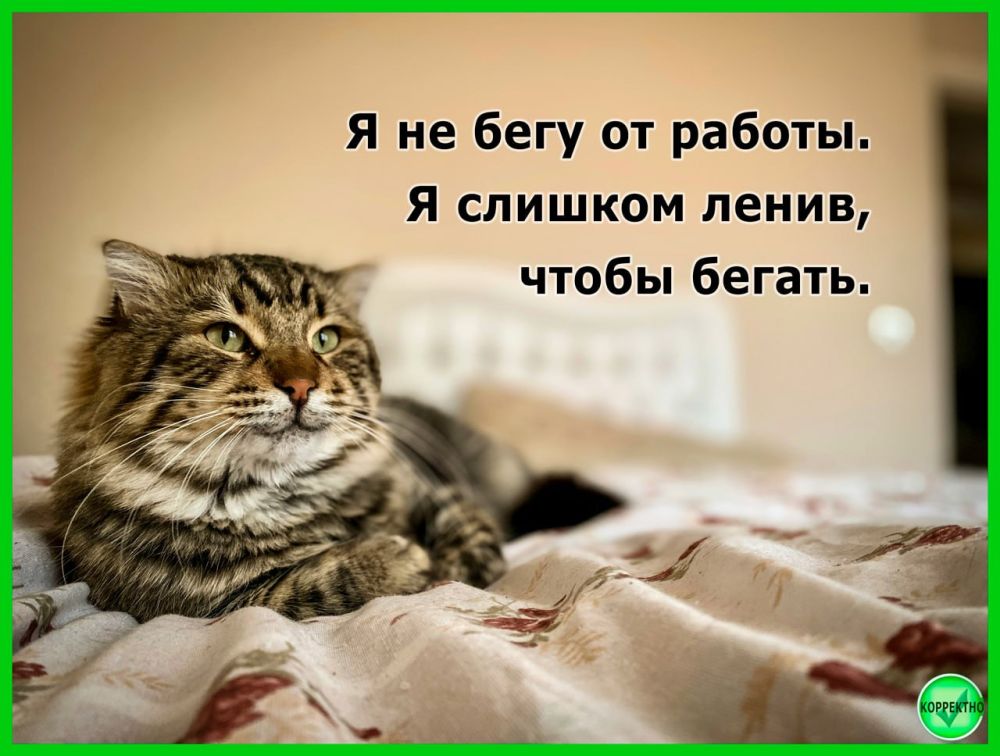 ���������������� ��������� � ���