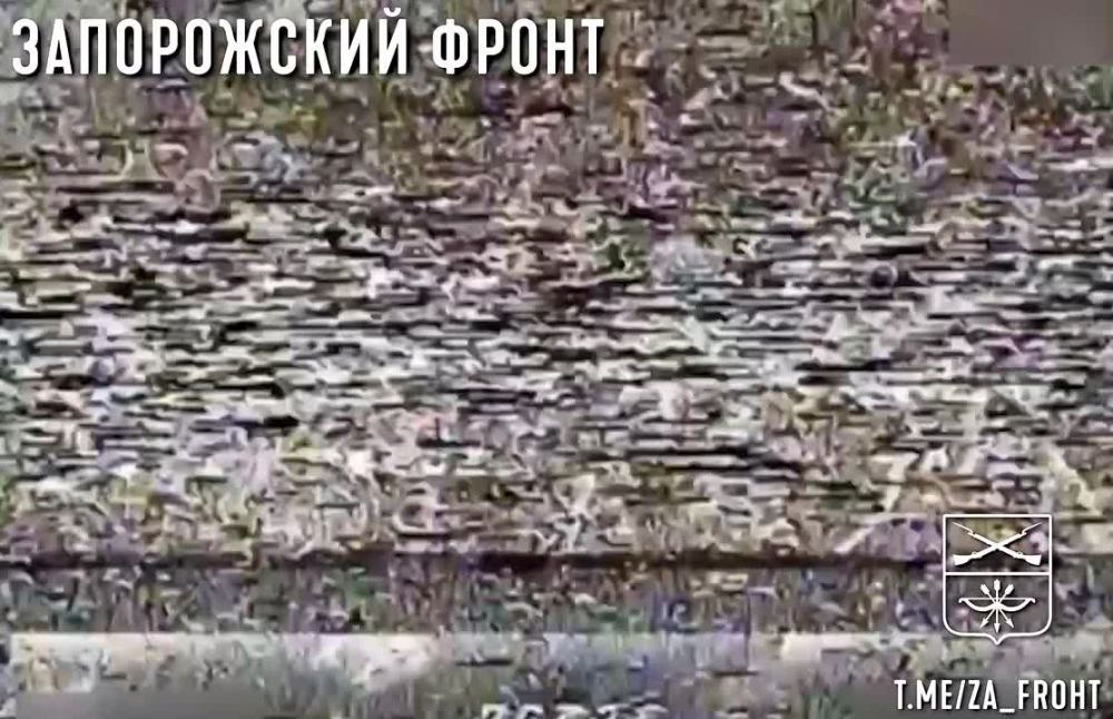 ׸���� ������ ����� ������ �� ������ ������, 291 ���