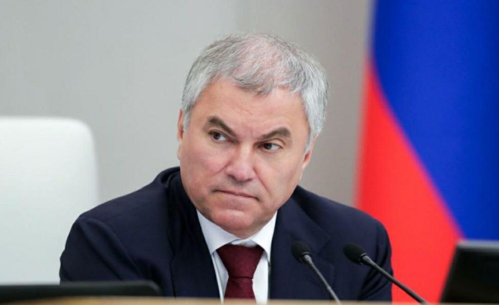 Анна Хорошун: Вячеслав Володин о сим-картах и мошенниках
