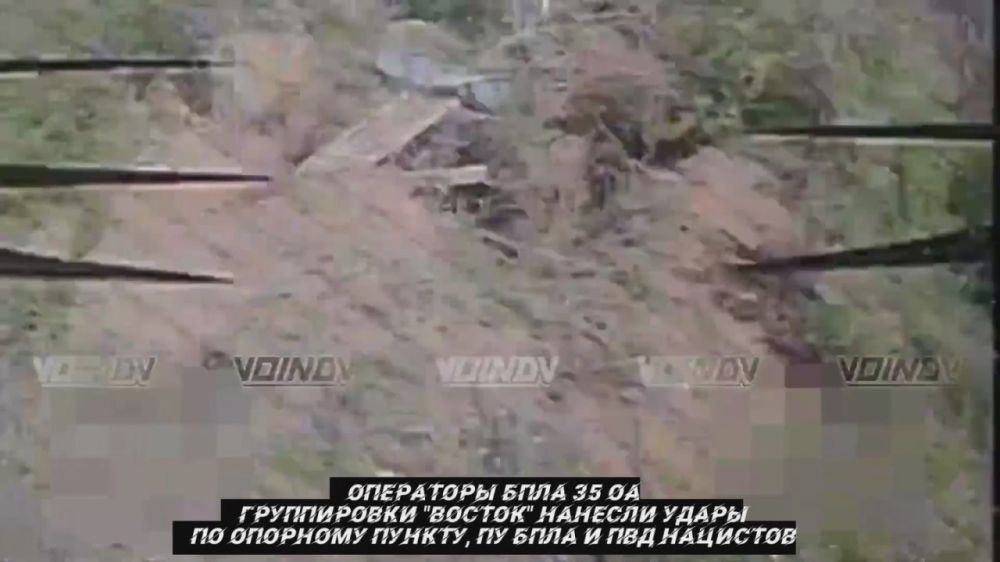 от Енота Херсона за прошедшие сутки