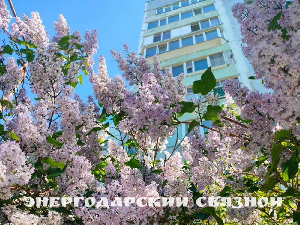 � ������ ������� �����! ����� � �������� �������� ����, ����� �� ���� � �� �������! ����� ��������� �����, ������� �������� � ����� � �������� �����������!