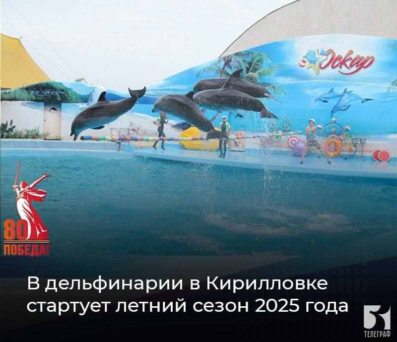 В дельфинарии в Кирилловке стартует летний сезон 2025 года