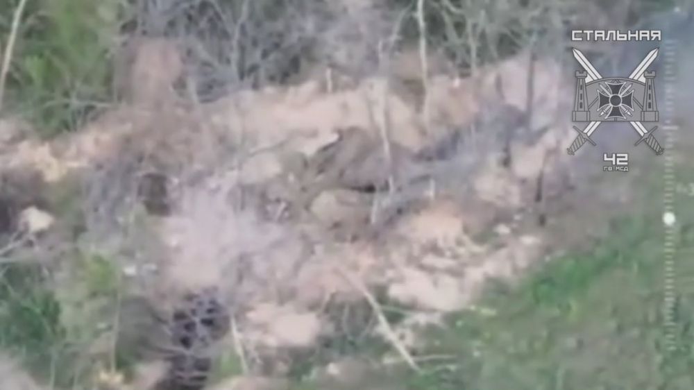 Операторы БПЛА подразделения «Рокот» 1429-го поразили пункт управления БПЛА ВСУ на Ореховском направлении