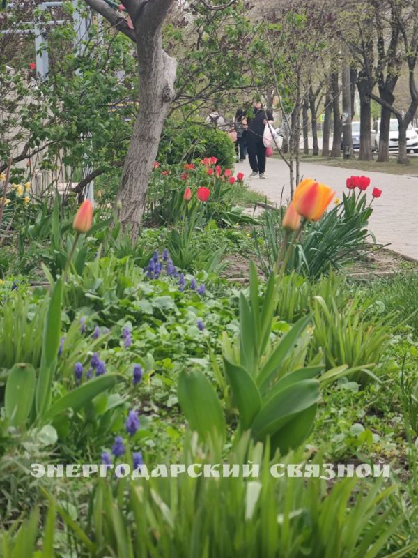 Доброе утро! Желаем теплого, светлого, лёгкого, бодрого и солнечного начала дня